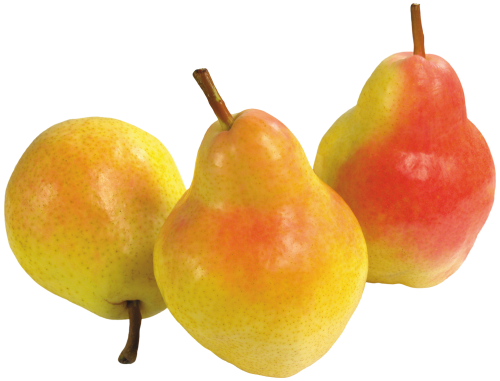 Three Pears PNG Clipart - High-quality PNG Clipart Image in cattegory Fruits PNG / Clipart from ClipartPNG.com