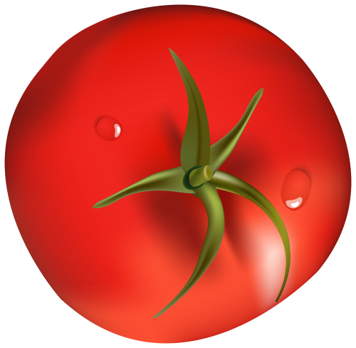 Tomato PNG Clipart - High-quality PNG Clipart Image in cattegory Vegetables PNG / Clipart from ClipartPNG.com