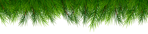 Top Pine Branches PNG Clip Art - High-quality PNG Clipart Image in cattegory Christmas PNG / Clipart from ClipartPNG.com