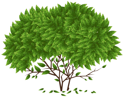 Tree PNG Clip Art - High-quality PNG Clipart Image in cattegory Trees PNG / Clipart from ClipartPNG.com