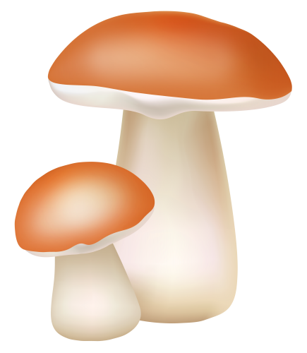 Two Mushrooms PNG Cliaprt - High-quality PNG Clipart Image in cattegory Mushrooms PNG / Clipart from ClipartPNG.com