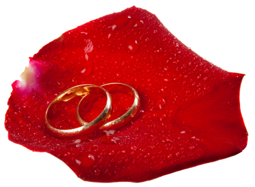 Wedding Rings in Rose Petal PNG Clip Art - High-quality PNG Clipart Image in cattegory Wedding PNG / Clipart from ClipartPNG.com
