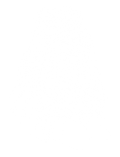 Wedding Veil PNG Clip Art - High-quality PNG Clipart Image in cattegory Wedding PNG / Clipart from ClipartPNG.com