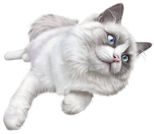 White Cat PNG Clip Art - High-quality PNG Clipart Image in cattegory Animals PNG / Clipart from ClipartPNG.com