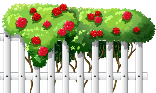 White Fence with Roses PNG Clipart - High-quality PNG Clipart Image in cattegory Outdoor PNG / Clipart from ClipartPNG.com