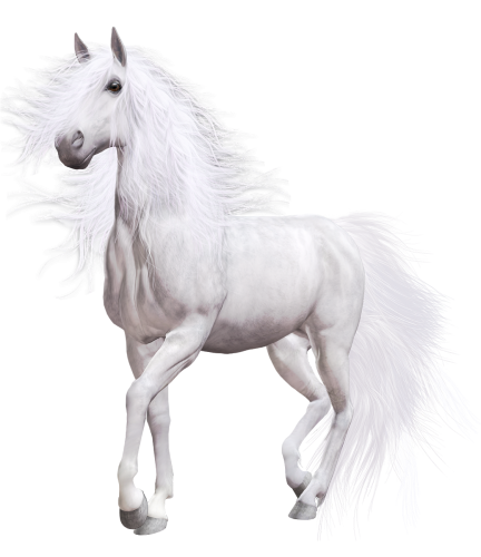 White Horse PNG Clip Art - High-quality PNG Clipart Image in cattegory Animals PNG / Clipart from ClipartPNG.com
