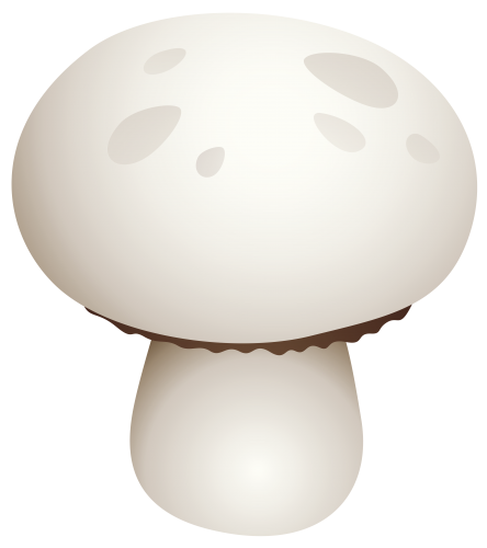 White Mushroom PNG Clipart - High-quality PNG Clipart Image in cattegory Mushrooms PNG / Clipart from ClipartPNG.com