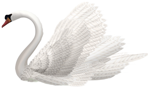 White Swan PNG Clipart Image - High-quality PNG Clipart Image in cattegory Birds PNG / Clipart from ClipartPNG.com