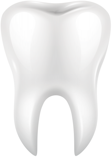 White Tooth PNG Clip Art - High-quality PNG Clipart Image in cattegory Dental PNG / Clipart from ClipartPNG.com