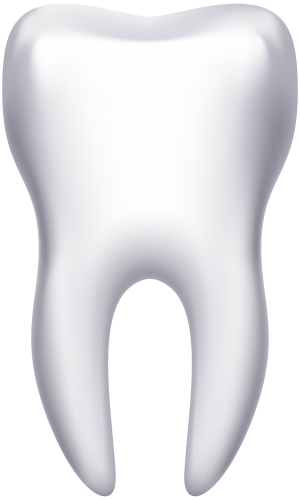 White Tooth PNG Clip Art - High-quality PNG Clipart Image in cattegory Dental PNG / Clipart from ClipartPNG.com