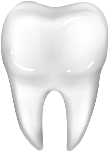 White Tooth PNG Clipart - High-quality PNG Clipart Image in cattegory Dental PNG / Clipart from ClipartPNG.com