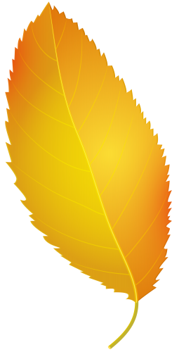 Yellow Autumn Leaf PNG Clip Art - High-quality PNG Clipart Image in cattegory Leaves PNG / Clipart from ClipartPNG.com