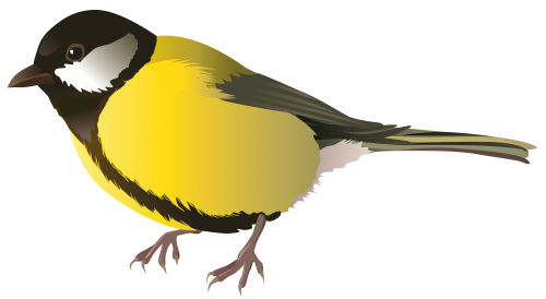 Yellow Bird PNG Clipart - High-quality PNG Clipart Image in cattegory Birds PNG / Clipart from ClipartPNG.com