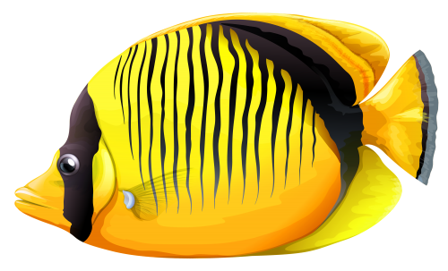 Yellow Butterfly Fish PNG Clipart - High-quality PNG Clipart Image in cattegory Underwater PNG / Clipart from ClipartPNG.com