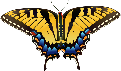 Yellow Butterfly PNG Clip Art - High-quality PNG Clipart Image in cattegory Insects PNG / Clipart from ClipartPNG.com