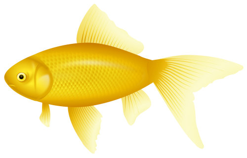 Yellow Fish PNG Clipart - High-quality PNG Clipart Image in cattegory Underwater PNG / Clipart from ClipartPNG.com