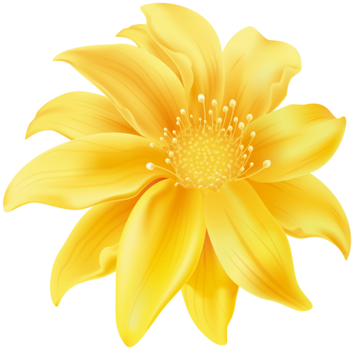Yellow Flower PNG Clip Art - High-quality PNG Clipart Image in cattegory Flowers PNG / Clipart from ClipartPNG.com