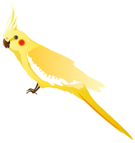 Yellow Parrot PNG Clipart - High-quality PNG Clipart Image in cattegory Birds PNG / Clipart from ClipartPNG.com