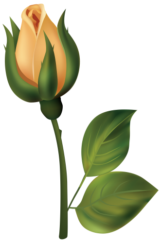 Yellow Rose Bud PNG Clipart - High-quality PNG Clipart Image in cattegory Flowers PNG / Clipart from ClipartPNG.com