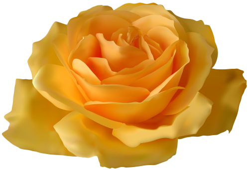 Yellow Rose PNG Clipart - High-quality PNG Clipart Image in cattegory Flowers PNG / Clipart from ClipartPNG.com