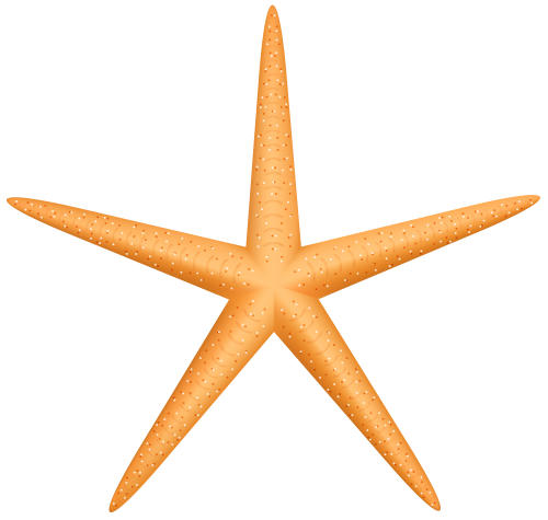 Yellow Starfish PNG Clip Art - High-quality PNG Clipart Image in cattegory Summer PNG / Clipart from ClipartPNG.com
