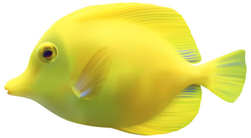 Yellow ZebrasomaTang Fish PNG Clipart - High-quality PNG Clipart Image in cattegory Underwater PNG / Clipart from ClipartPNG.com