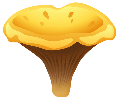 Yelow Chanterelle Mushroom PNG Clipart - High-quality PNG Clipart Image in cattegory Mushrooms PNG / Clipart from ClipartPNG.com