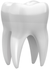 3D Tooth PNG Clip Art  - High-quality PNG Clipart Image from ClipartPNG.com