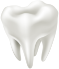 3D White Tooth PNG Clip Art  - High-quality PNG Clipart Image from ClipartPNG.com