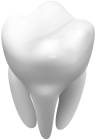 3d White Tooth PNG Clipart - High-quality PNG Clipart Image from ClipartPNG.com