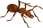 Ant PNG Clip Art - High-quality PNG Clipart Image from ClipartPNG.com
