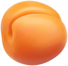 Apricot PNG Clipart - High-quality PNG Clipart Image from ClipartPNG.com
