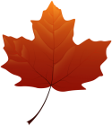 Autumn Leaf PNG Clip Art  - High-quality PNG Clipart Image from ClipartPNG.com
