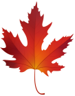 Autumn Maple Leaf PNG Clip Art - High-quality PNG Clipart Image from ClipartPNG.com