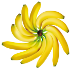 Bananas Decoration PNG Clipart - High-quality PNG Clipart Image from ClipartPNG.com