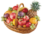 Basket with Fruits PNG Clipart  - High-quality PNG Clipart Image from ClipartPNG.com