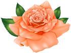 Beautiful Orange Rose PNG Clipart - High-quality PNG Clipart Image from ClipartPNG.com