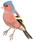 Bird PNG Clip Art  - High-quality PNG Clipart Image from ClipartPNG.com