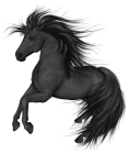 Black Horse PNG Clip Art  - High-quality PNG Clipart Image from ClipartPNG.com