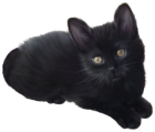 Black Kitten PNG Clipart  - High-quality PNG Clipart Image from ClipartPNG.com