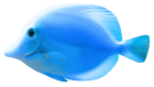 Blue Fish PNG Clipart - High-quality PNG Clipart Image from ClipartPNG.com