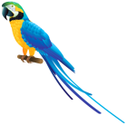Blue Parrot PNG Clipart  - High-quality PNG Clipart Image from ClipartPNG.com