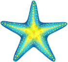 Blue Starfish PNG Clip Art  - High-quality PNG Clipart Image from ClipartPNG.com