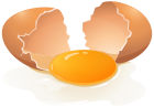 Broken Egg PNG Clip Art - High-quality PNG Clipart Image from ClipartPNG.com