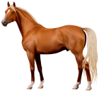 Brown Horse PNG Clipart  - High-quality PNG Clipart Image from ClipartPNG.com