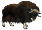 Buffalo PNG Clipart  - High-quality PNG Clipart Image from ClipartPNG.com