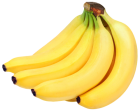 Bunch of Bananas PNG Clipart - High-quality PNG Clipart Image from ClipartPNG.com