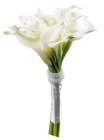 Calla Lily Bouquet PNG Clip Art - High-quality PNG Clipart Image from ClipartPNG.com