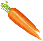 Carrots PNG Clipart  - High-quality PNG Clipart Image from ClipartPNG.com