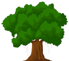 Cartoon Green Tree PNG Clipart - High-quality PNG Clipart Image from ClipartPNG.com